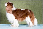 BRAITLAIT OF MOSKOU SOMETHING BEAUTIFUL exc2 CC.jpg